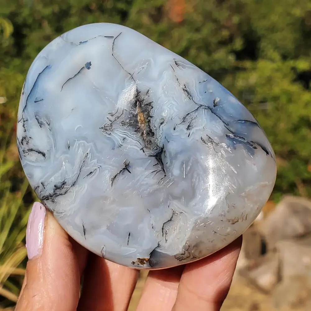 Dendritic Agate Multi-Color Pattern Translucent Freeform Crystal 258 Grams